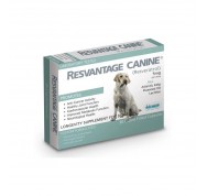 Resvantage Canine 白藜蘆醇老年抗衰老及抗癌 30粒 (狗食用）